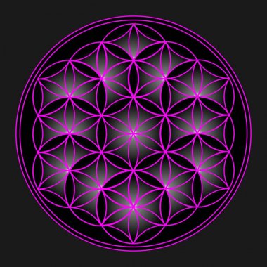 Kutsal Geometri - Yaşam Çiçeği, mor desen - Vektör İllüstrasyon