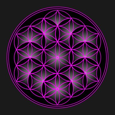 Sacred Geometry - Flower of life, purple pattern - Vector Illustration clipart