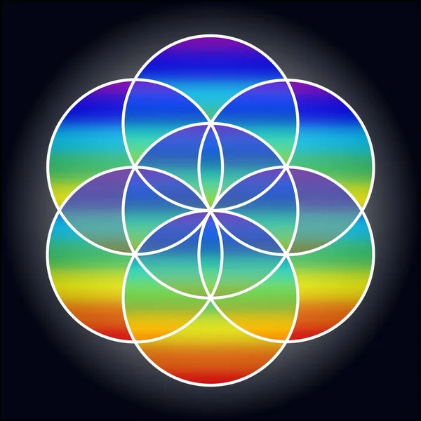 神聖な幾何学 生命の種 虹のパターン ベクトルイラスト — ストックベクタ