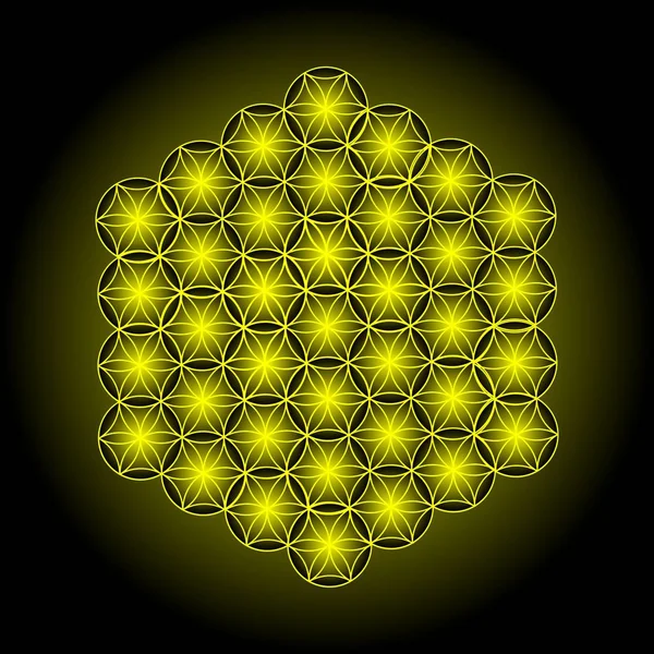 神聖な幾何学 生命の花 黄色のパターン ベクトルイラスト — ストックベクタ