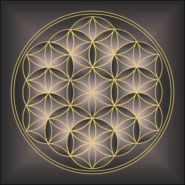 Kutsal Geometri Yaşam Çiçeği Altın Desen Vektör Llüstrasyon — Stok Vektör