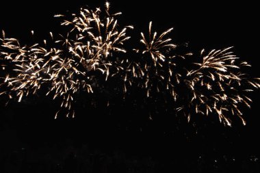 4 Temmuz'da bağımsızlık gününden önce Fütüristik Havai Fişek festivali gösterisi Deep Black Background Sky Gerçek Havai Fişek