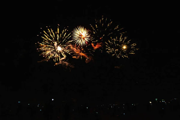 Video Real Fireworks Deep Black Background Sky Futuristic Fireworks Festival — Stok Foto