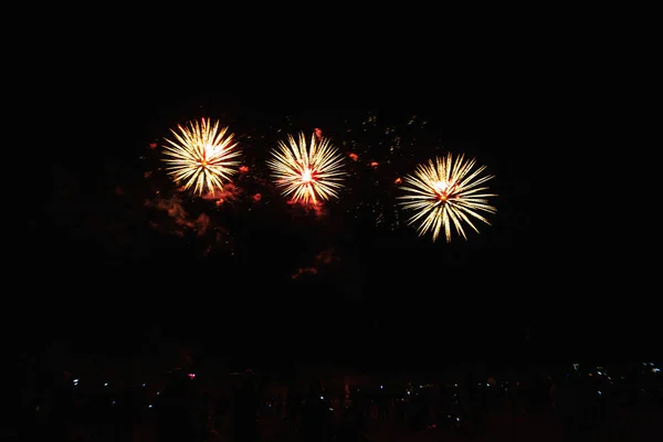 7月4日の独立記念日の前に未来的な花火祭のショーに深い黒の背景空の本当の花火ビデオ — ストック写真