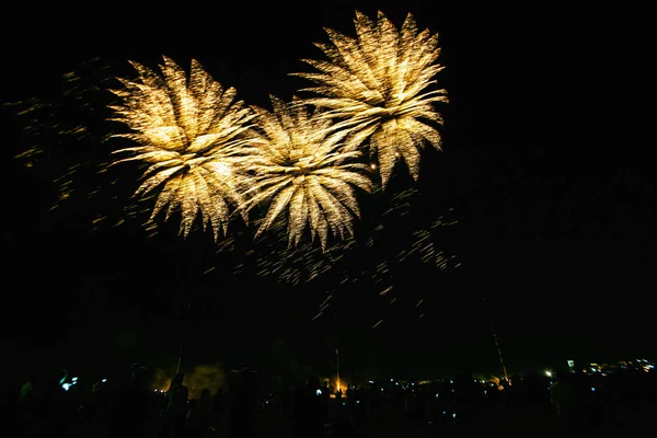 독립기념일 미래불꽃놀이 축제에 펼쳐지는 스카이의 불꽃놀이 — 스톡 사진