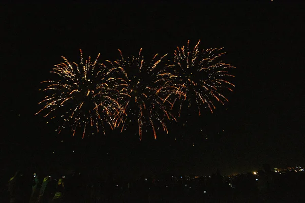독립기념일 미래불꽃놀이 축제에 펼쳐지는 하늘의 불꽃놀이 — 스톡 사진