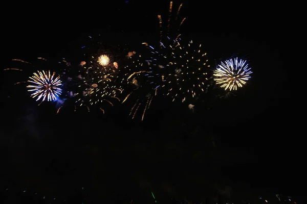 독립기념일 미래불꽃놀이 축제에 펼쳐지는 하늘의 불꽃놀이 — 스톡 사진