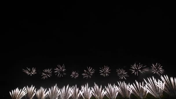 Kolorowe abstrakcyjne fajerwerki na nocnym niebie, odizolowane na czarnym tle — Wideo stockowe