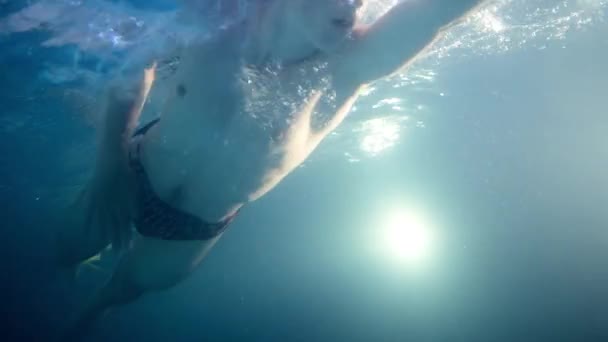 Подводный вид на пловца в бассейне, замедленное действие тренировки — стоковое видео