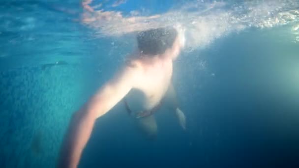 Подводный вид профессиональный пловец в бассейне, тренировки на дому — стоковое видео