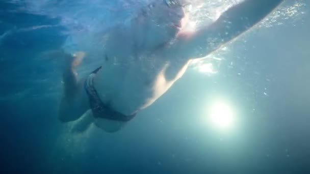 Подводный вид профессиональный пловец в бассейне, замедленное действие 4k — стоковое видео