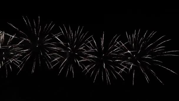 Olika fyrverkerier på natthimlen, isolerade på svart bakgrund, självständighetsdagen — Stockvideo