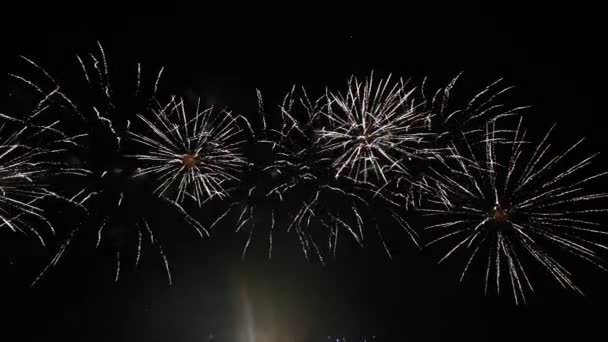 Diverse Vuurwerk in de nachtelijke hemel, geïsoleerd op zwarte achtergrond — Stockvideo