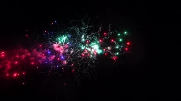 Vuurwerk in de nachtelijke hemel, geïsoleerd op zwarte achtergrond, Onafhankelijkheidsdag 4 juli — Stockvideo