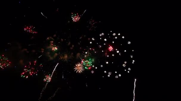 Fuegos artificiales en el cielo nocturno, aislados sobre fondo negro, Día de la Independencia 4 de julio — Vídeo de stock