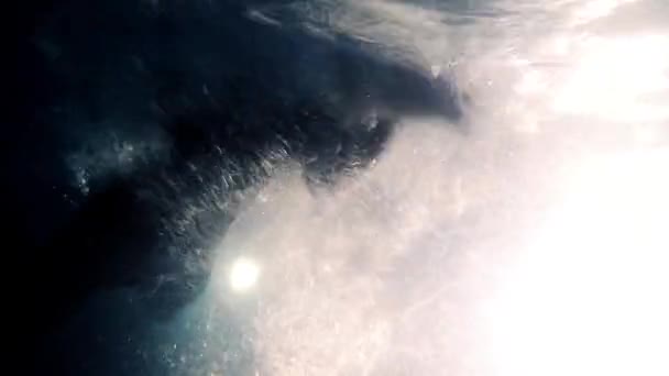 Профессиональный триатлонист плавает в бассейне, занимается подводным триатлоном — стоковое видео