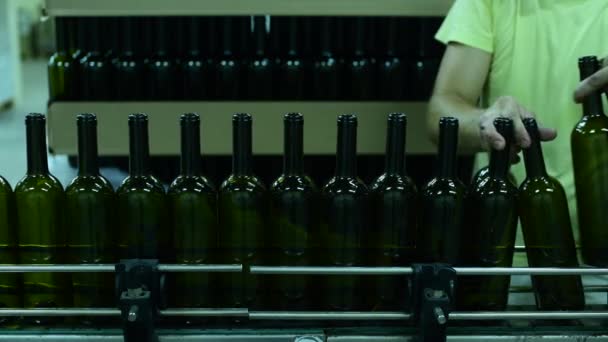 와인 공장에서 와인 병을 컨베이어로 옮깁니다. 흰 포도주 생산, 병마개 — 비디오