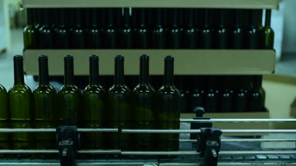 Şarap fabrikasında şarap şişeleri taşıyan taşıyıcı. Beyaz şarap üretimi, şişe paleti — Stok video