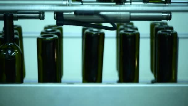 Przenośnik z butelkami wina w fabryce wina produkcja białego wina, mycie butelek — Wideo stockowe