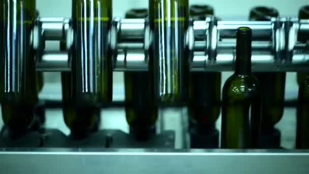 Przenośnik z butelkami wina w fabryce wina produkcja białego wina, mycie butelek — Wideo stockowe
