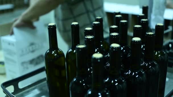 Konveyor dengan botol anggur di pabrik anggur. anggur putih produksi, botol anggur — Stok Video