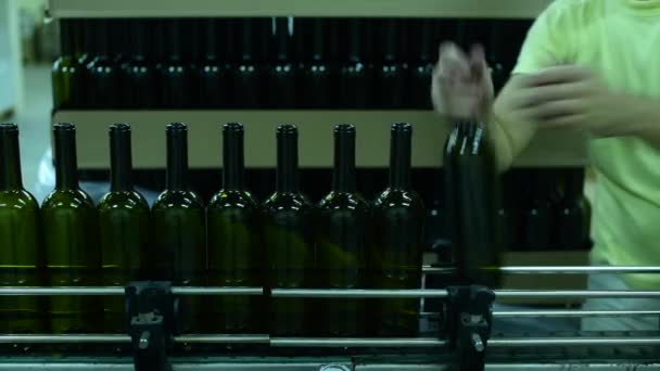 Convoyeur avec bouteilles de vin à l'usine de vin. production de vin blanc, palette bouteille — Video