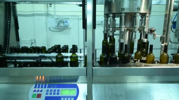 Transportador con botellas de vino en la producción de vino blanco de fábrica de vino, lavado de botellas — Vídeos de Stock