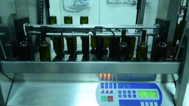 Transportband met wijnflessen in wijnfabriek witte wijn productie, fles wassen — Stockvideo
