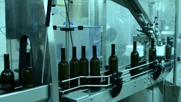 Transportador con botellas de vino en la fábrica de vino, embotellado de vino blanco — Vídeos de Stock