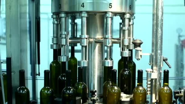 Trasportatore con bottiglie di vino in fabbrica. produzione di vino bianco, imbottigliamento — Video Stock