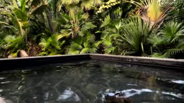 Asya, Bali 'deki yüzme havuzunda yüzen yakışıklı beyaz kadın.