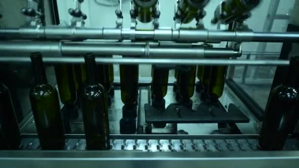 Conveyor with wine bottles at wine factory white wine production, bottle washing — Stock Video