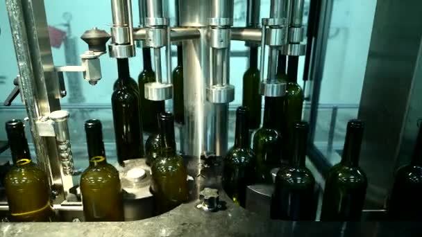 Transportador con botellas de vino en la fábrica de vino, embotellado de vino blanco — Vídeo de stock