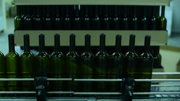 Convoyeur avec bouteilles de vin à l'usine de vin. production de vin blanc, palette bouteille — Video