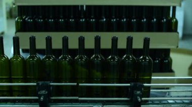 Şarap fabrikasında şarap şişeleri taşıyan taşıyıcı. Beyaz şarap üretimi, şişe paleti