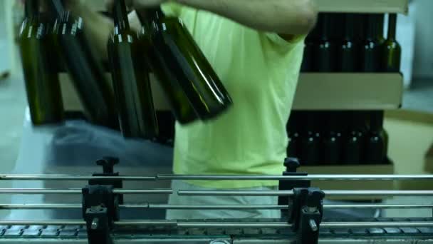 Przenośnik z butelkami wina w fabryce wina. produkcja wina białego, paleta butelkowa — Wideo stockowe