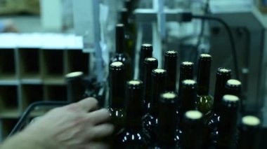 Şarap fabrikasında şarap şişeleri taşıyan taşıyıcı. Beyaz şarap üretimi, şarap şişeleme