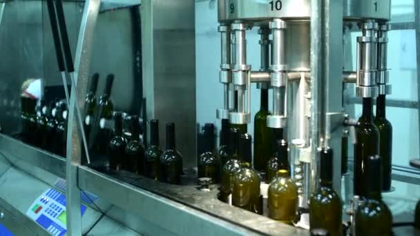 Конвеєр з пляшками вина на виноробному заводі. виробництво білого вина, розлив вина — стокове відео