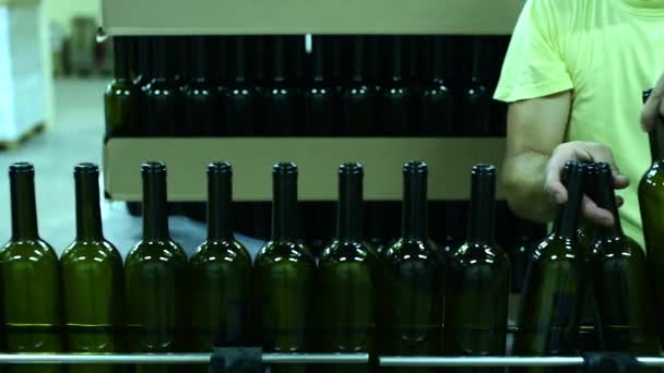 Transportador com garrafas de vinho na fábrica de vinhos. produção de vinho branco, palete de garrafa — Vídeo de Stock