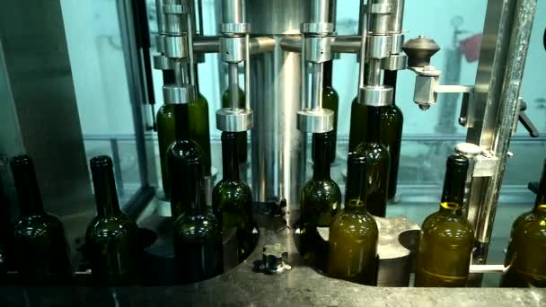 Przenośnik z butelkami wina w fabryce wina, butelkowanie białego wina — Wideo stockowe