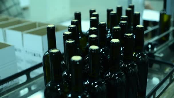 Конвейер с винными бутылками на винном заводе. производство белого вина, розлив вина — стоковое видео