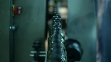 Şarap fabrikasında şarap şişeleriyle taşıyıcı beyaz şarap üretimi, şişe yıkama