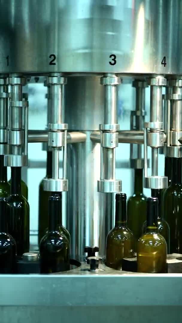Przenośnik butelek wina w fabryce wina, butelkowanie białego wina, nagranie pionowe — Wideo stockowe