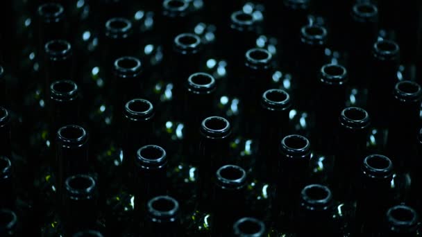 Junge Kaukasierin nimmt leere Flasche in Weinfabrik. Weißweinproduktion — Stockvideo