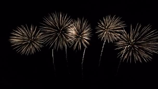 Close up slow motion of colourful Abstract futuristic fireworks show night sky — Stock Video