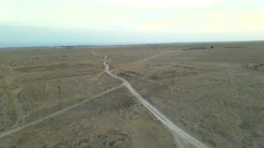 Sığırcık sürüsü güneş doğarken kırsal bölgedeki elektrik direklerinin yakınında uçuyor.