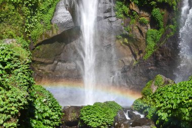 Bali Adası ormanında suda güzel şelale ve gökkuşağı görünümü.