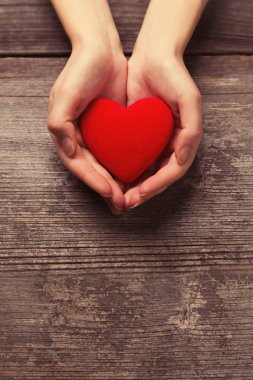 Female hands holding red heart