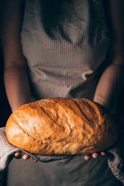 Bir somun ev yapımı beyaz çavdar ekmeğini havlunun üzerinde tutan kadın eli. Fırın posteri veya kapağı kavramı