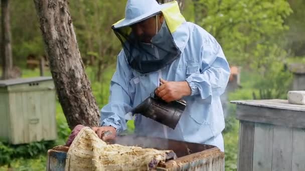 Γκρο πλαν άποψη του μελισσοκόμου χρησιμοποιώντας ένα καπνιστή για να ηρεμήσει τις μέλισσες. Χέρια μελισσοκόμου με εργαλείο καπνού — Αρχείο Βίντεο